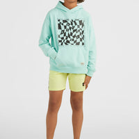 Checker Kapuzenpullover | Beach Glass