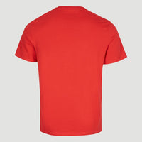 O'Neill T-Shirt | Plaid