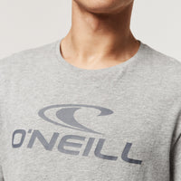 O'Neill T-Shirt | Silver Melee -A