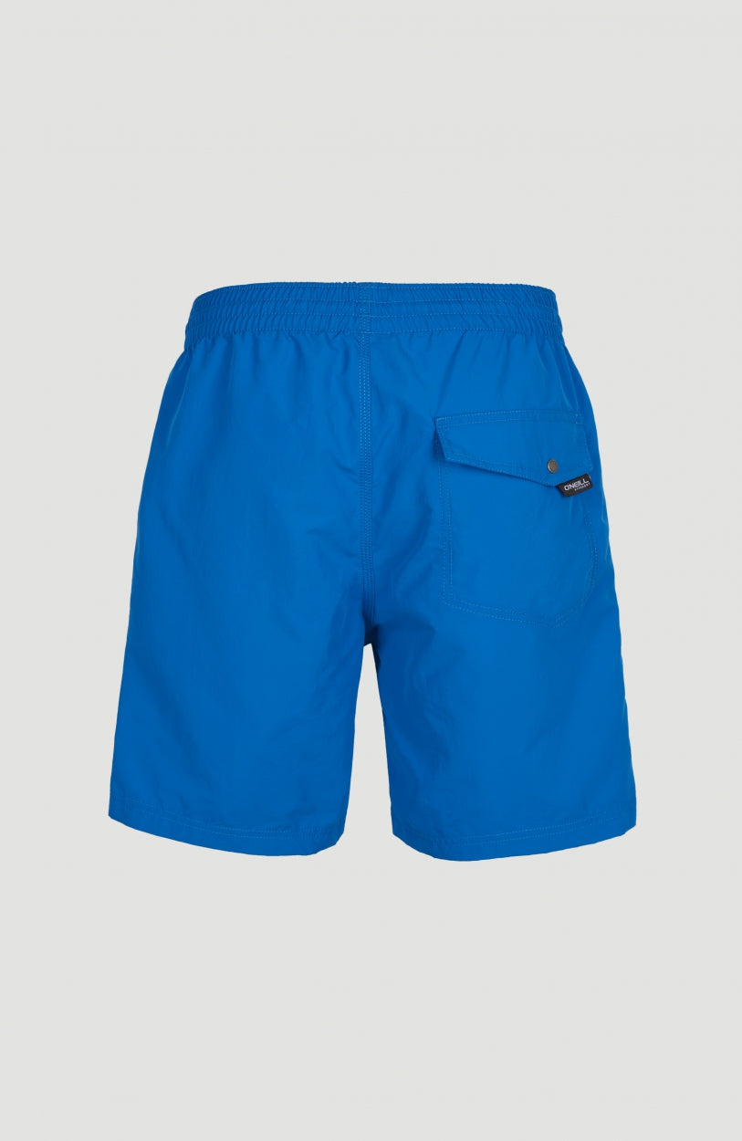 Vert Badehose | Victoria Blue