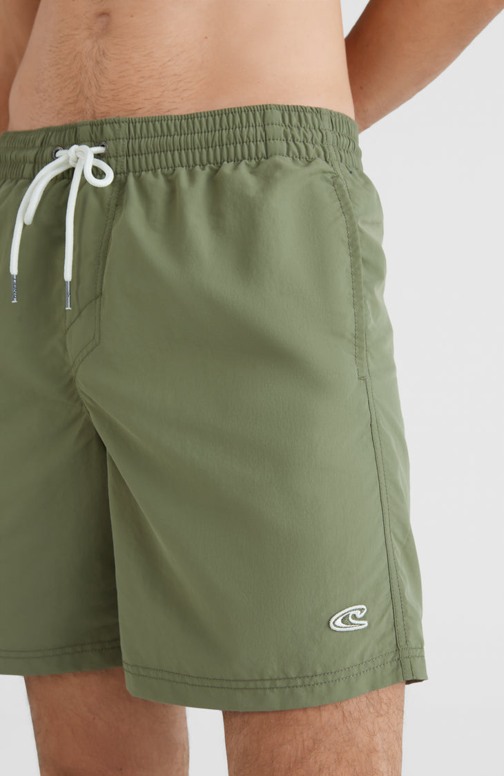 Vert Badehose | Deep Lichen Green