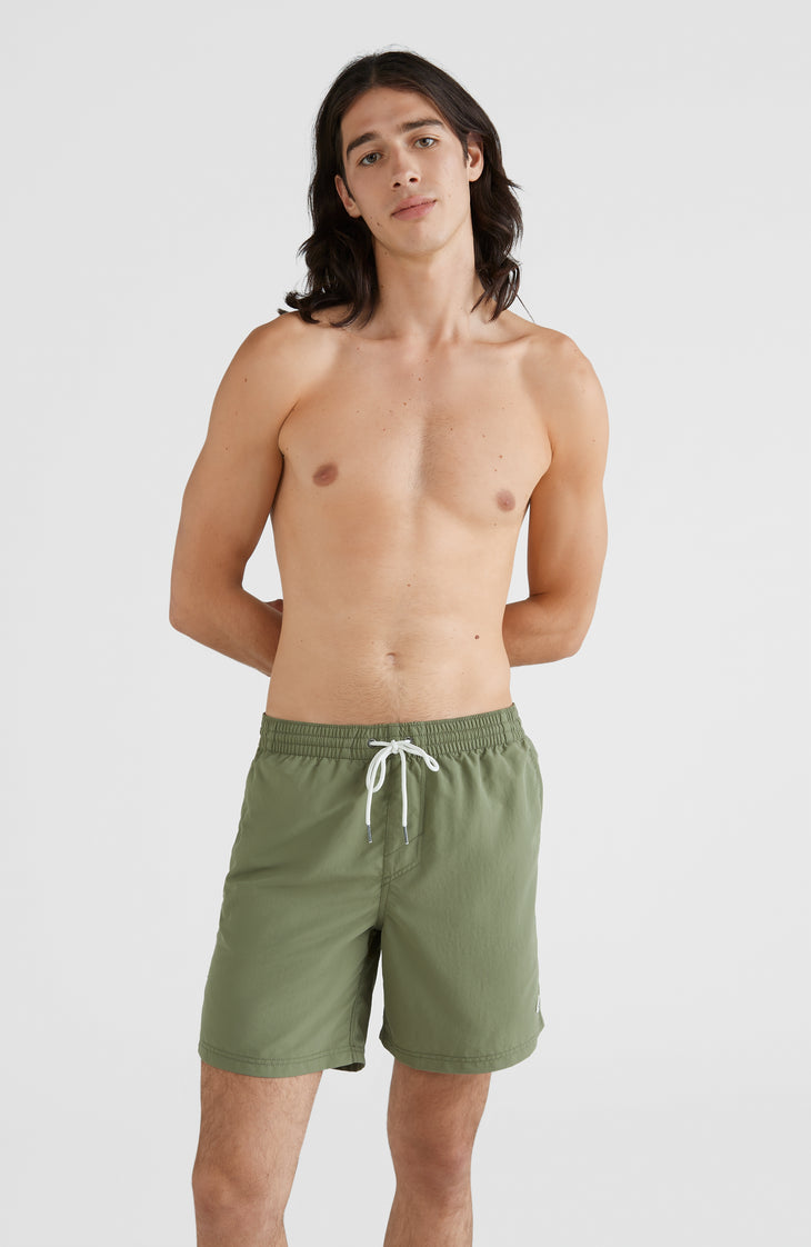 Vert Badehose | Deep Lichen Green
