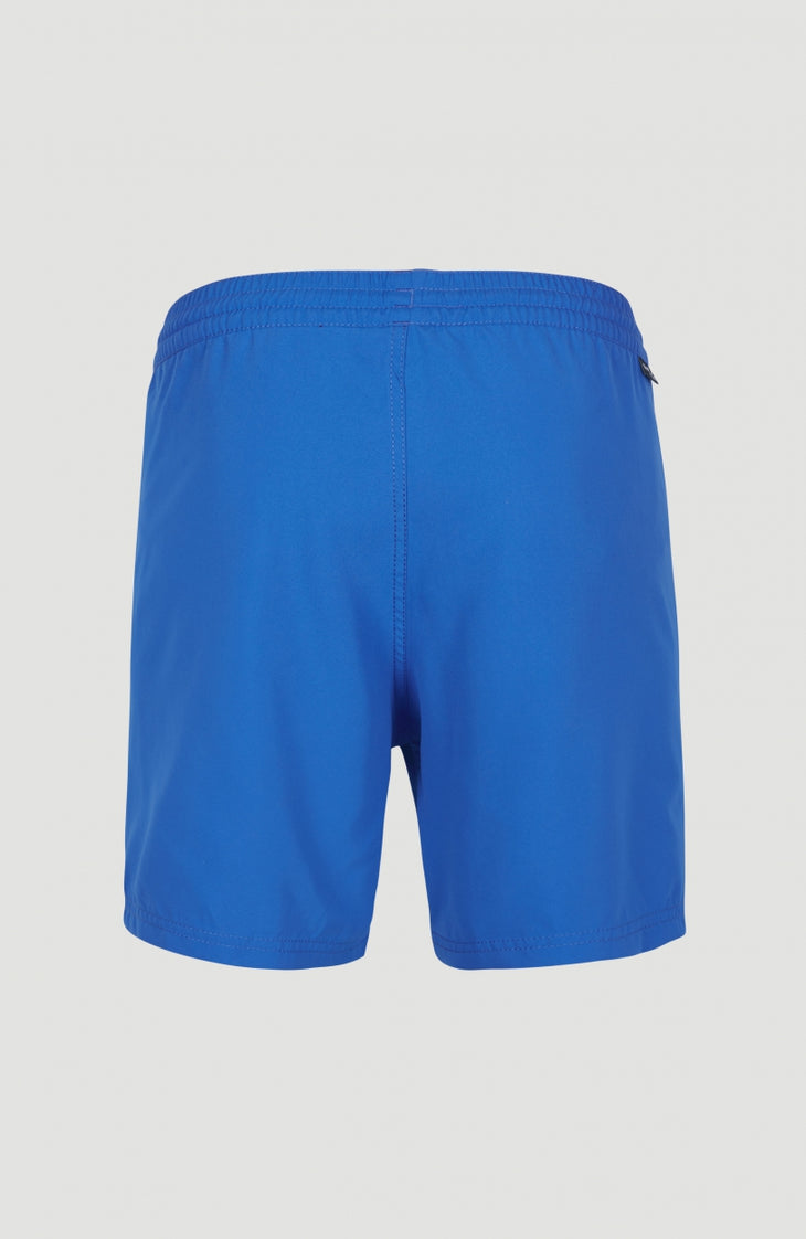Cali Schwimmhose | Victoria Blue