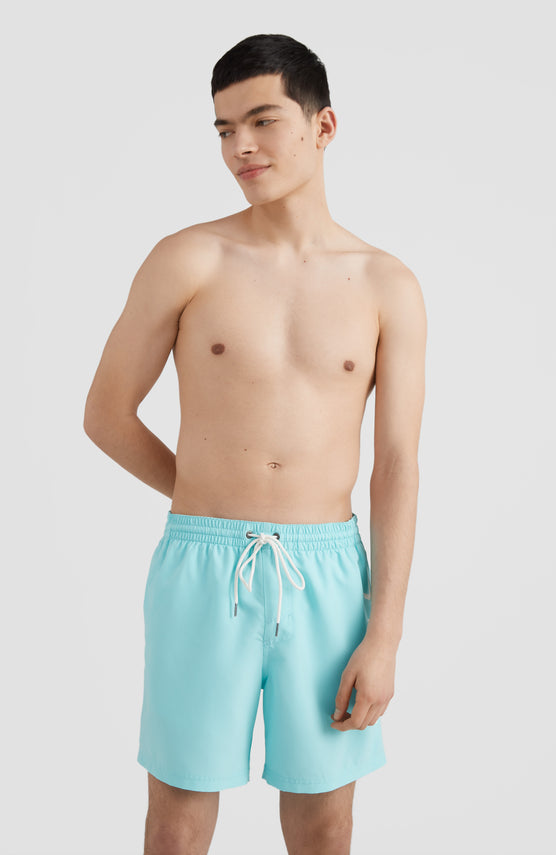 O'Neill Cali Schwimmhose für Herren, grün mit Logo-Print in Weiß, Vorderansicht getragen am Model