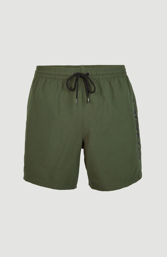 O'Neill Cali Schwimmhose für Herren in Grün, freigestellt von vorne, mit elastischem Bund und Kordelzug