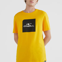 Cube Shortsleeve T-Shirt | Old Gold