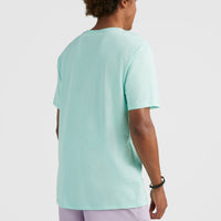 Arrowhead T-Shirt | Beach Glass