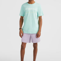 Arrowhead T-Shirt | Beach Glass