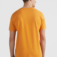 Arrowhead T-Shirt | Nugget