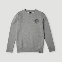 Circle Surfer Crew Sweatshirt | Silver Melee