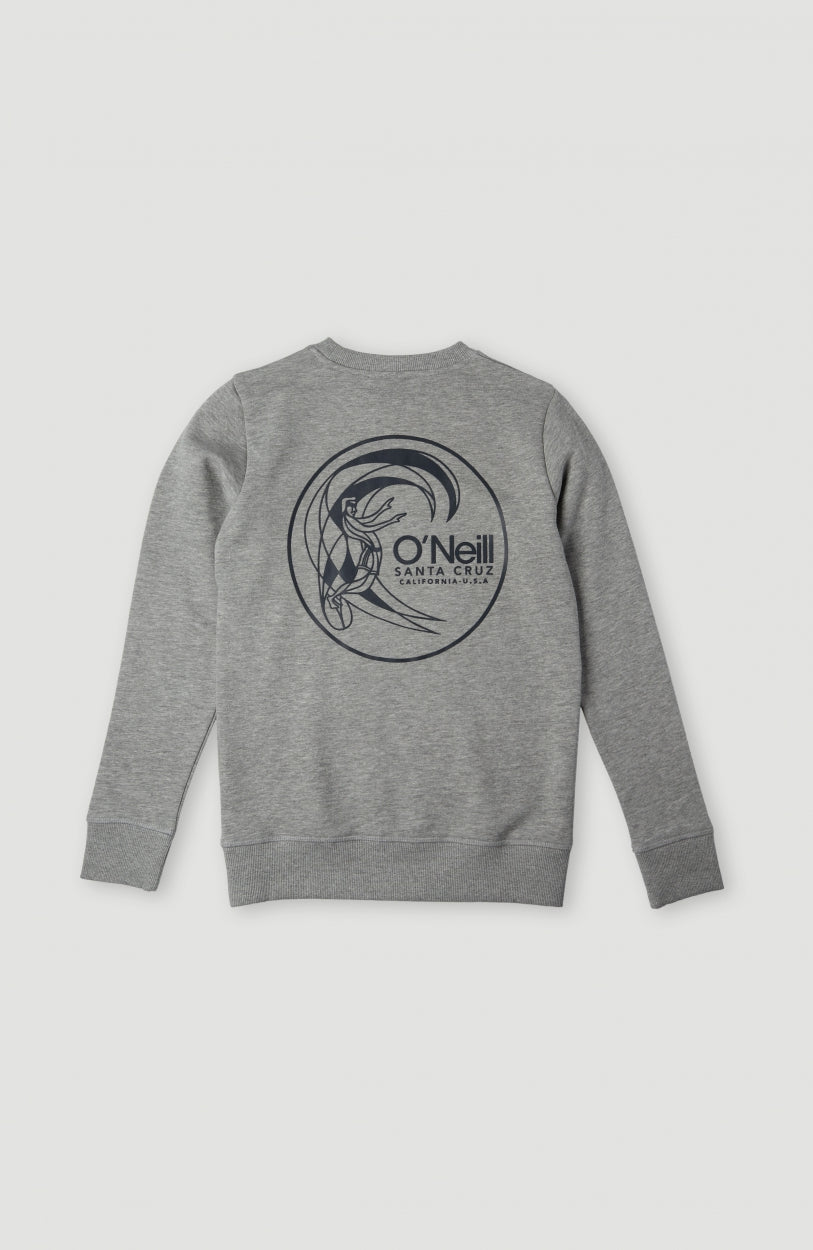 Circle Surfer Crew Sweatshirt | Silver Melee