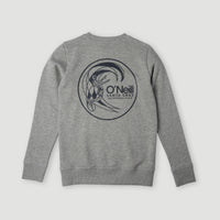 Circle Surfer Crew Sweatshirt | Silver Melee