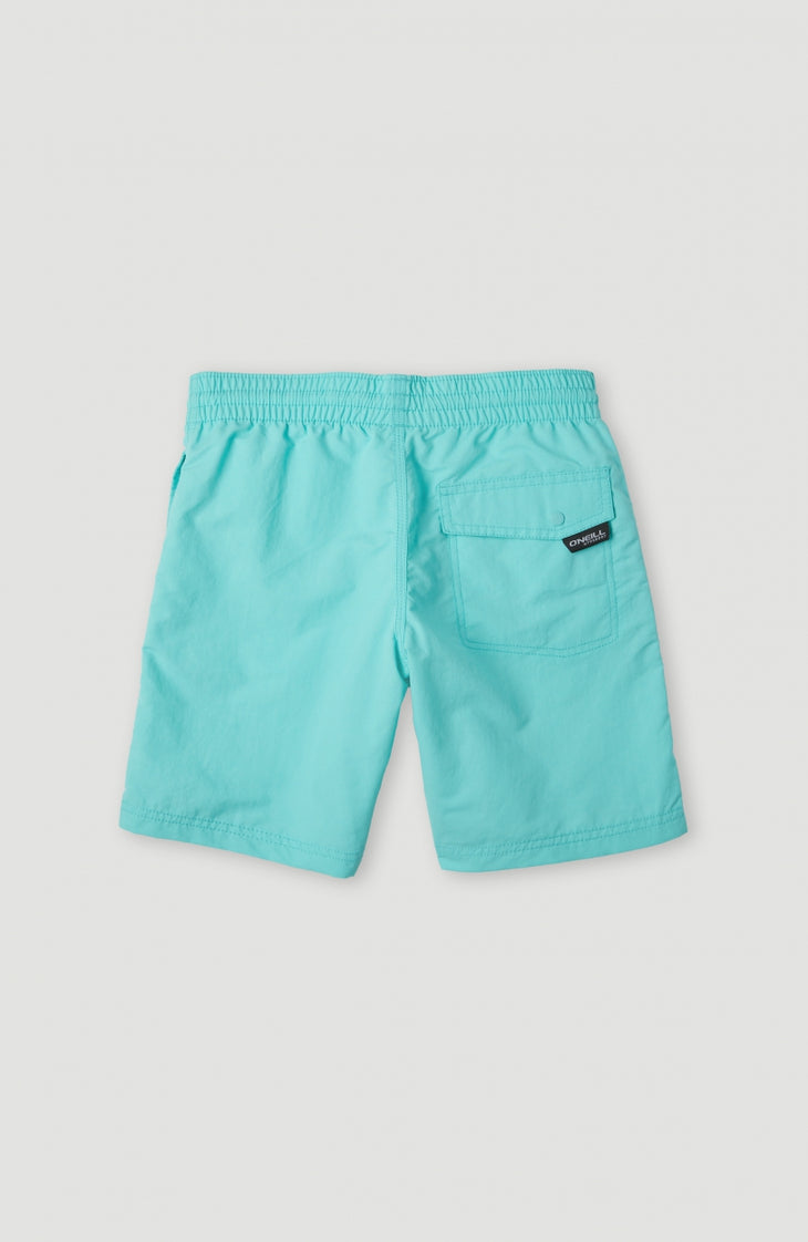 Vert Badehose | Aqua Spalsh
